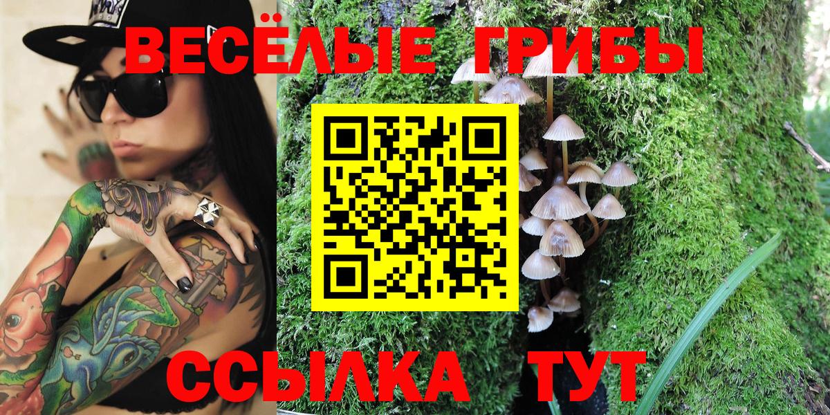 Псилоцибиновые грибы мухоморы Глазов